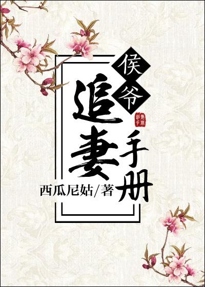 小侯爷的追妻日常