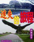 迷失的旅程电影在线观看