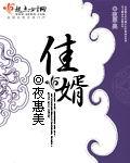佳婿是什么意思