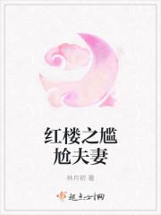 红楼之尴尬夫妻贾亮邢霜