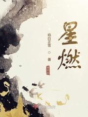 星燃湖北文化传媒有限公司